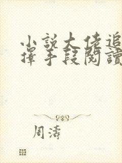 小说大佬追妻不择手段阅读