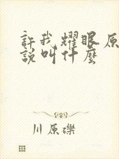 许我耀眼原著小说叫什么