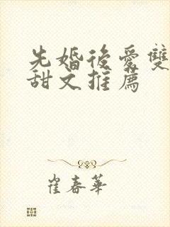 先婚后爱双男主甜文推荐