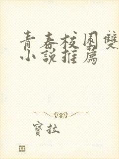 青春校园双男主小说推荐