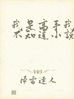 我是高手我怎么不知道小说免费阅读