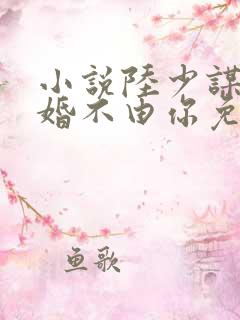 小说陆少谋妻之婚不由你免费阅读