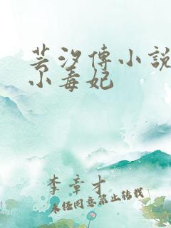 芸汐传小说天才小毒妃