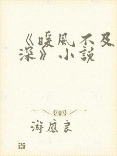 《暖风不及你情深》小说