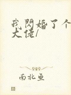 我闪婚了个财阀大佬/