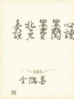 秦北墨墨心儿小说免费阅读