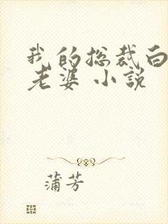 我的总裁白富美老婆 小说