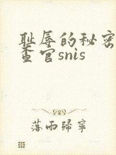 耻辱的秘密女搜查官snis