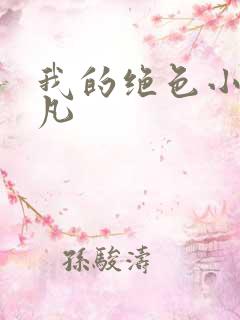 我的绝色小姨叶凡