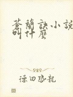 苍兰诀小说原著叫什么