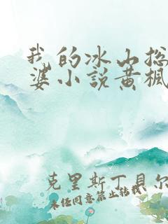 我的冰山总裁老婆小说黄枫雨天