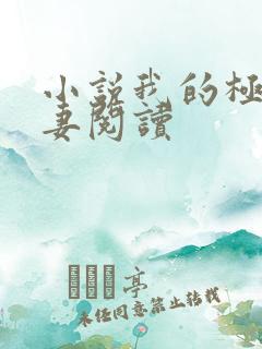 小说我的极品娇妻阅读