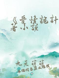 《爱情诡计》原著小说