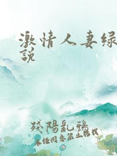 激情人妻绿帽小说