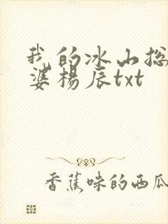 我的冰山总裁老婆杨辰txt
