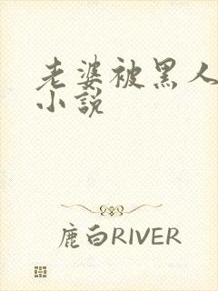 老婆被黑人操的小说