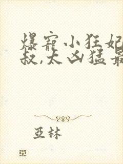 爆宠小狂妃:皇叔,太凶猛最新章节