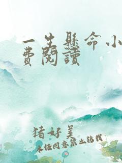 一生悬命小说免费阅读