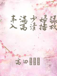 丰满少妇猛烈进入高清播放