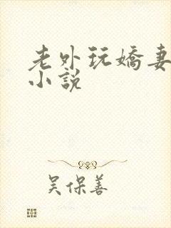 老外玩娇妻长篇小说