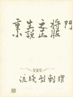 重生之将门毒后小说正版
