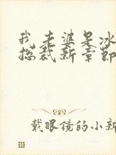 我老婆是冰山女总裁新章节沈浪