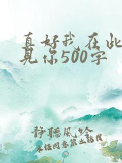 真好我在此时遇见你500字
