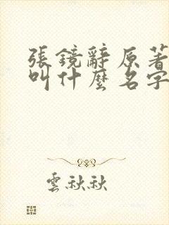 张镜辞原著小说叫什么名字