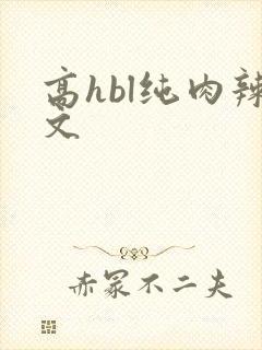 高hbl纯肉辣文