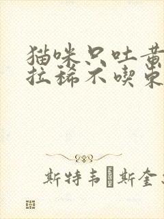 猫咪只吐黄水不拉稀不吃东西