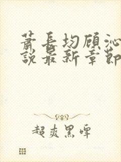 萧长均顾沁儿小说最新章节免费阅读