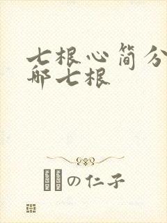 七根心简分别是哪七根