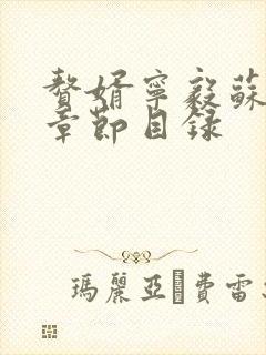 赘婿宁毅苏檀儿章节目录