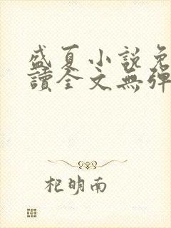盛夏小说免费阅读全文无弹窗