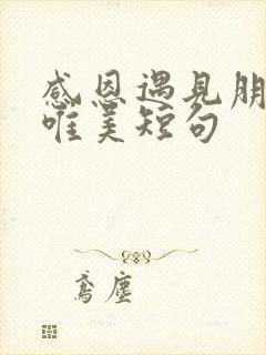 感恩遇见朋友的唯美短句