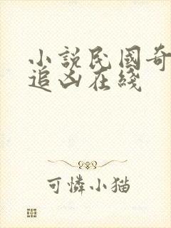 小说民国奇探之追凶在线