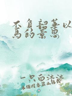 不负韶华以梦为马的意思