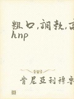 粗口,调教,高hnp