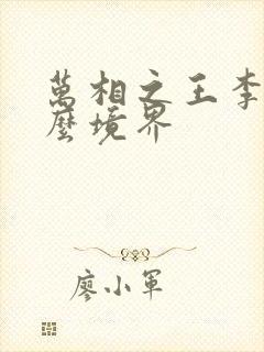 万相之王李洛什么境界