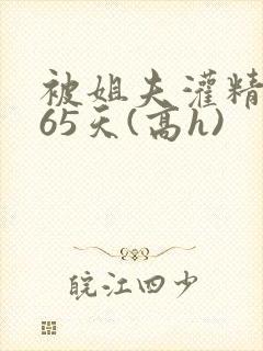 被姐夫灌精的365天(高h)