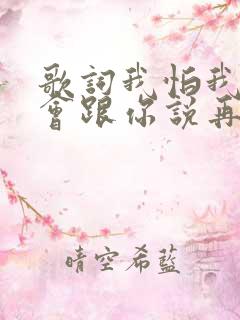 歌词我怕我没机会跟你说再见求歌名