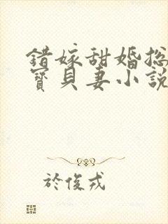 错嫁甜婚总裁的宝贝妻小说完整版