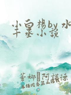 小白杨by 水千丞小说