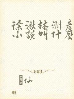 徐湫林洲彦原著小说叫什么