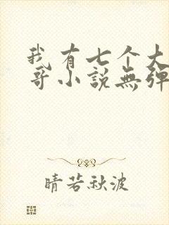 我有七个大佬哥哥小说无弹窗