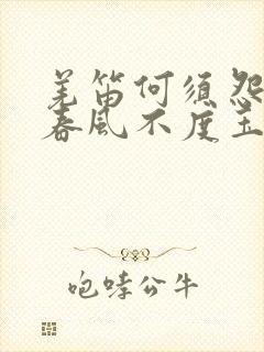 羌笛何须怨杨柳春风不度玉门关全诗