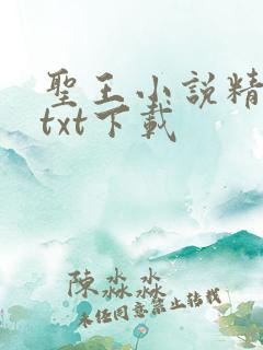 圣王小说精校版txt下载