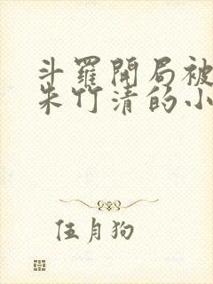 斗罗开局被俘获朱竹清的小说