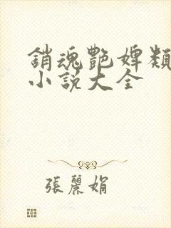 销魂艳婢类似的小说大全