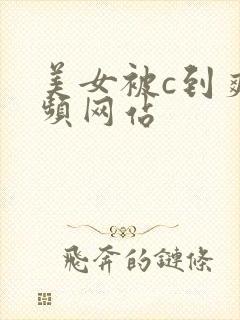 美女被c到爽视频网站